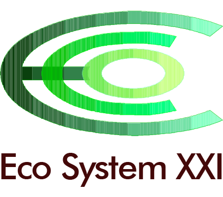 ECO SYSTEM XXI